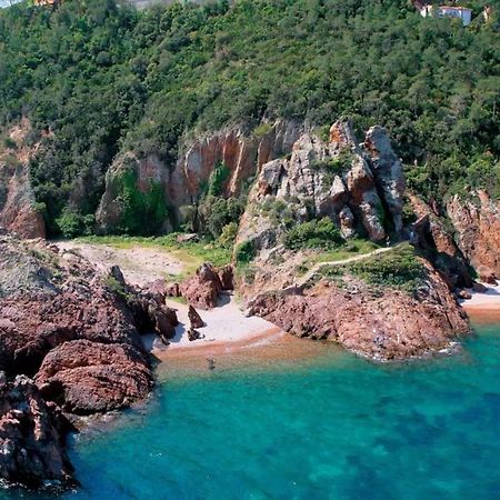 Rez De Jardin Au Calme Et Proche Mer Mandelieu Buitenkant foto