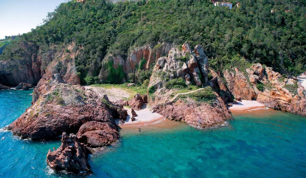 Rez De Jardin Au Calme Et Proche Mer Mandelieu Buitenkant foto